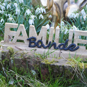 Schriftzug "Familienbande"