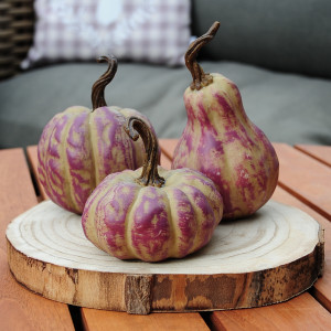 Kürbisse groß in "Flieder-Taupe"