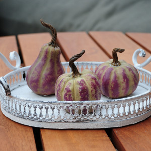 Kürbisse klein in "Flieder-Taupe"